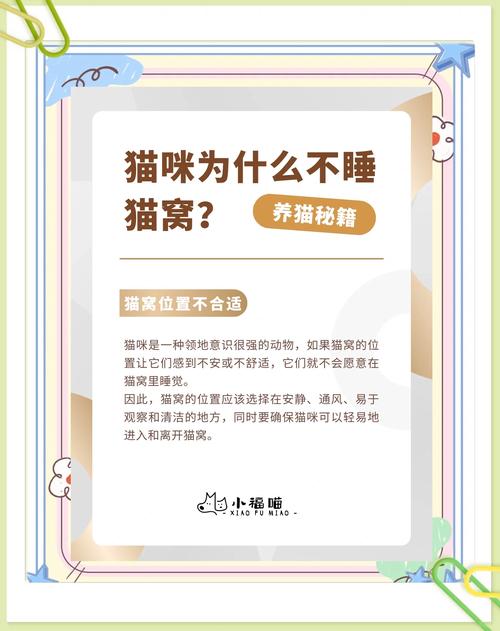 为什么猫咪从来不睡猫窝