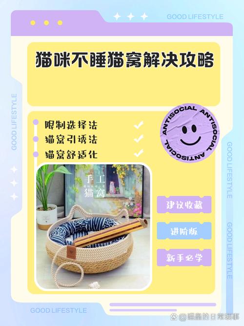 我家猫不爱睡猫窝,总睡我床上,咋能让它改改?