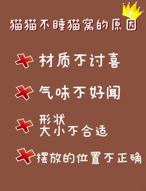 猫咪不睡猫窝怎么办?