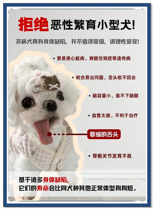 狗狗偷喝了菊花茶会怎么样?