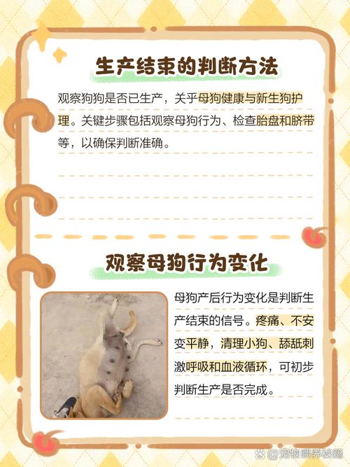 怎么看狗狗有没有生完小狗