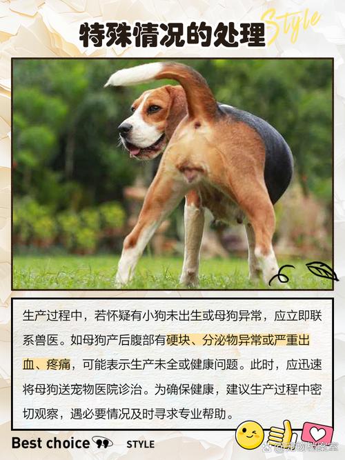 怎么判断狗狗是否生完了?