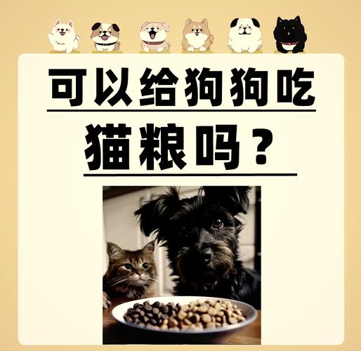 狗狗能吃猫粮吗