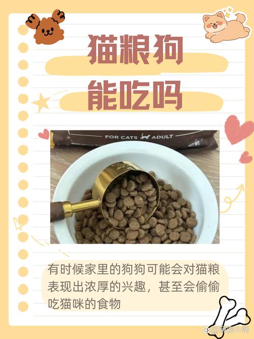 狗狗可以吃猫粮吗