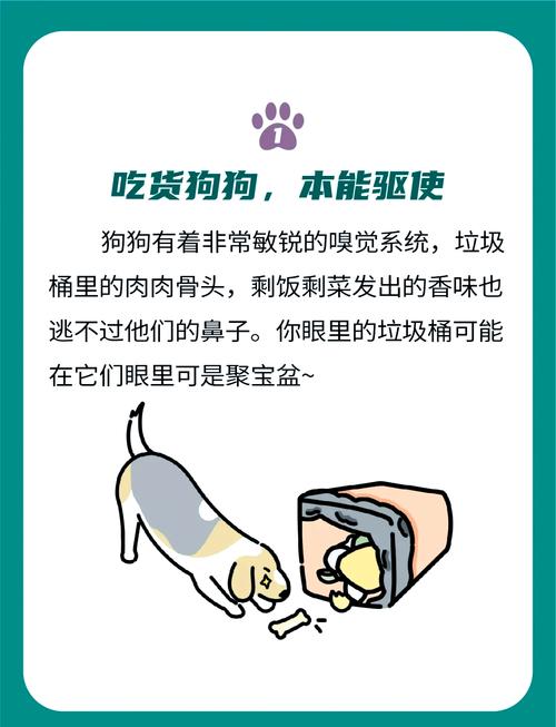 狗狗喜欢翻垃圾桶怎么办