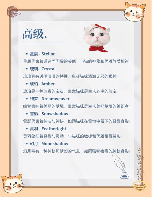 有哪些好听的猫咪英文名字?