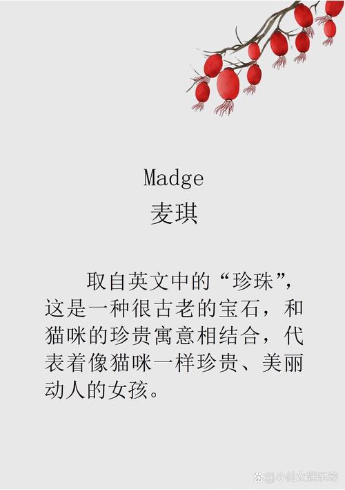 给女孩的英文猫取个好名字??