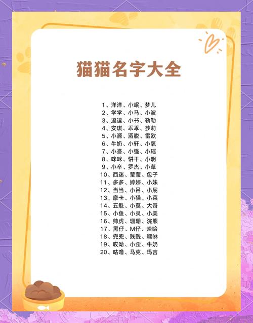 好听的猫英文名100个