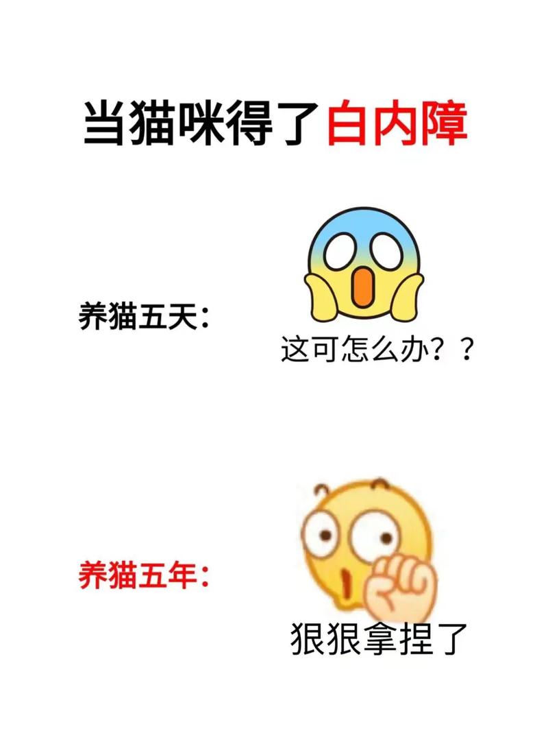 猫咪白内障怎么判断