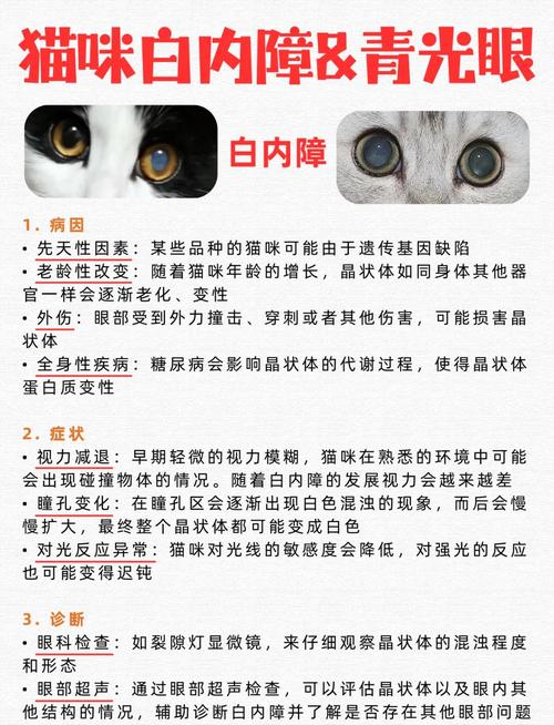猫咪白内障症状与治疗方法