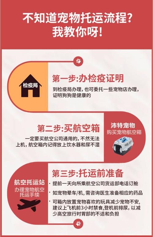 猫托运飞机全过程费用?