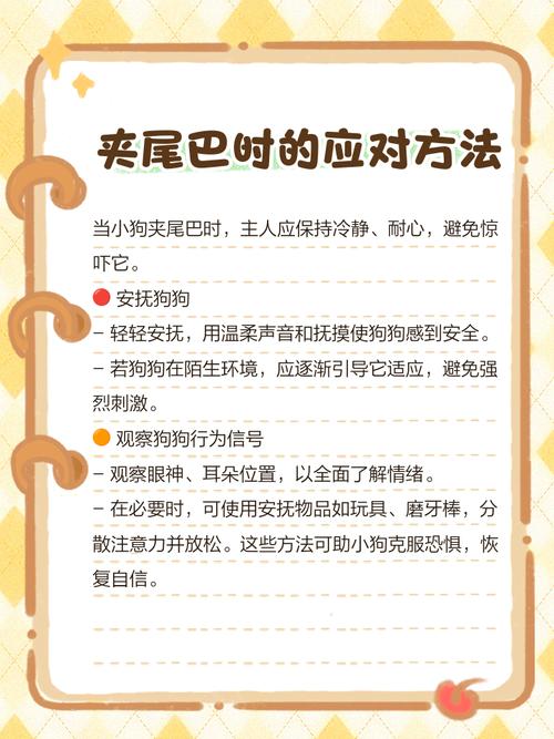 狗狗在家一直夹尾巴是怎么回事?