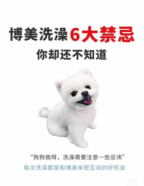 哪些情况下不宜给狗子洗澡?