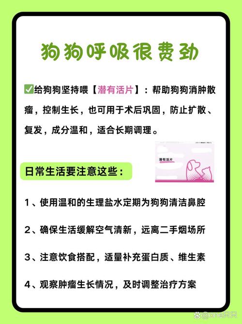 狗狗打封闭有什么副作用