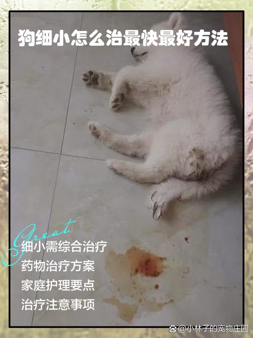 狗狗打封闭有什么作用