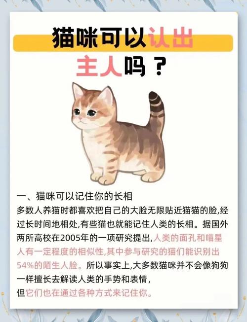 猫咪真的会认主人吗
