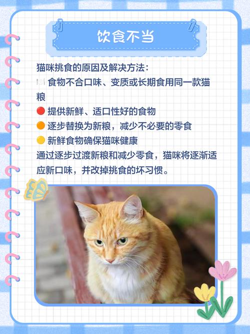 为什么家里的猫咪不爱吃甜食?