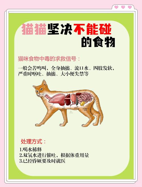 猫咪可以吃甜食吗?