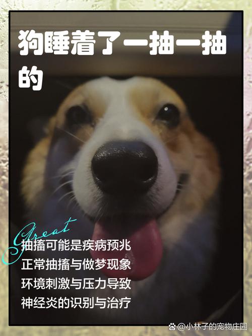 狗狗一抽一抽像哭似的