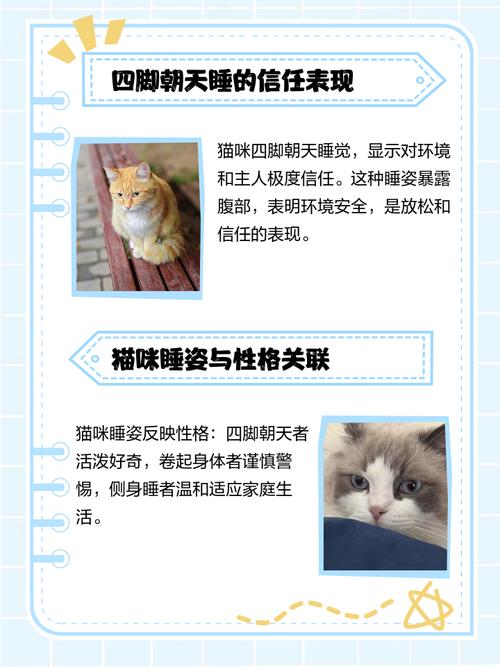 猫咪四脚朝天躺着并抖脚是什么原因?