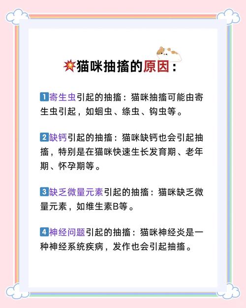 猫咪被打为什么会抽搐发抖