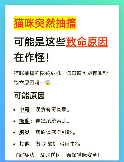 猫咪浑身抽搐腿乱蹬(猫咪间歇性抽搐尿失禁)