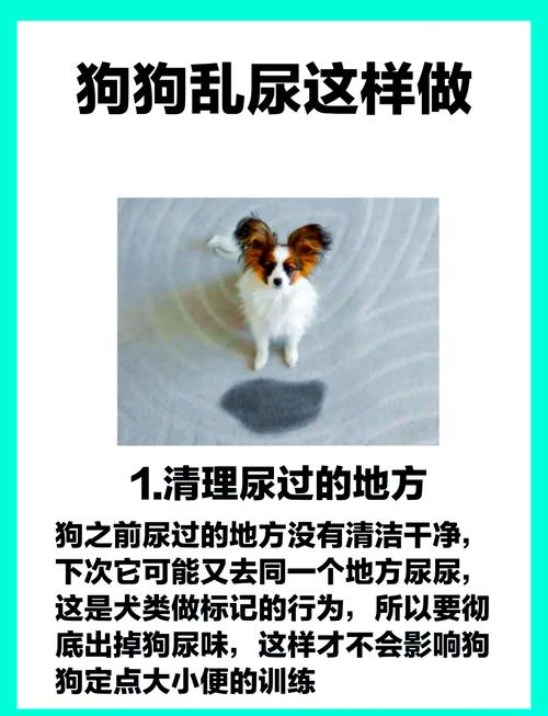 狗狗乱拉屎拉尿怎么办