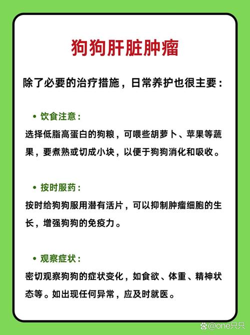 拉布拉多犬得了肝腹水,初期会有哪些症状?