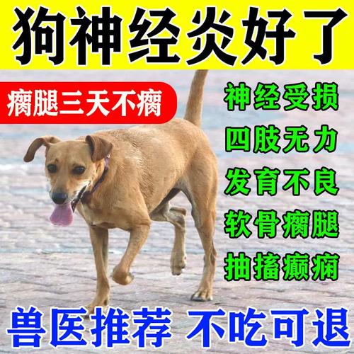 治疗狗狗神经抽搐的药