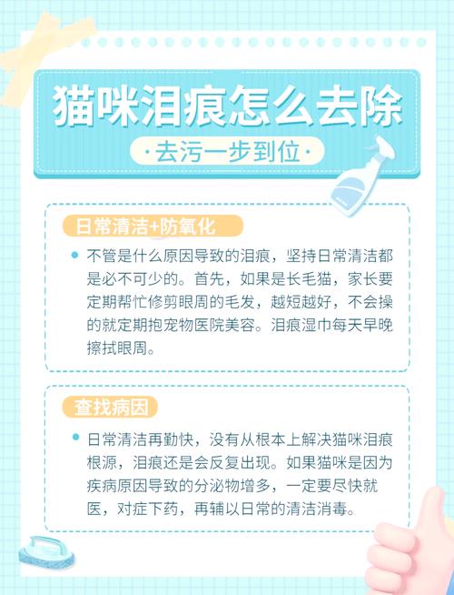 猫咪泪痕很重怎么办啊?