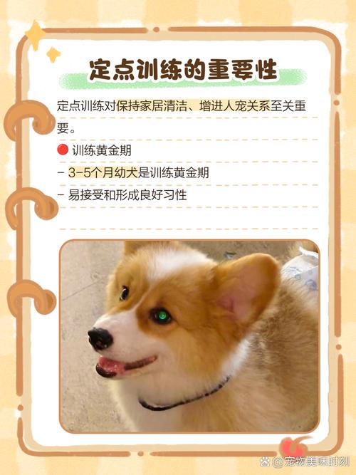 怎么让小狗在固定地方大小便