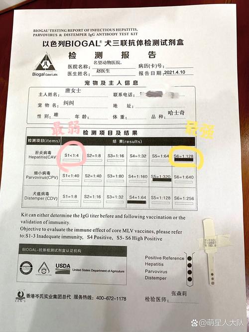 狗狗疫苗抗体检查多少钱