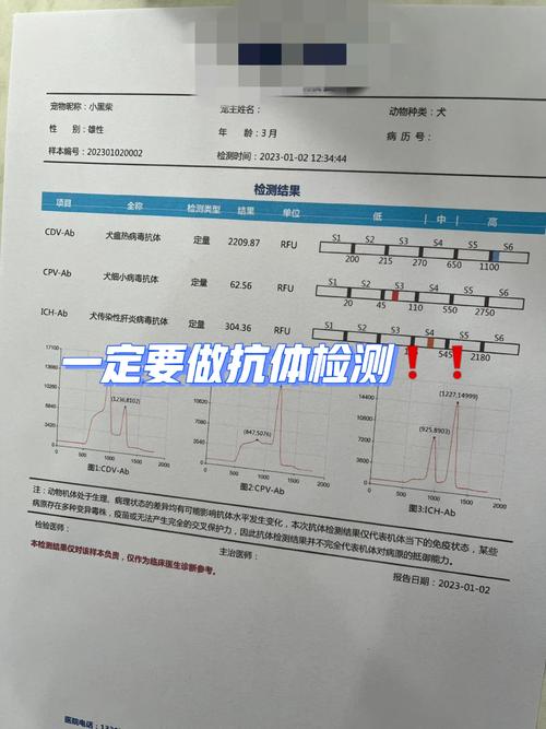 狗狗抗体检测多少钱