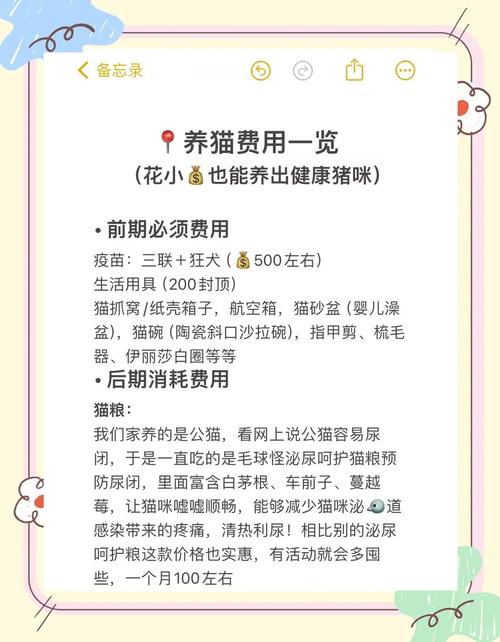 小猫体检多少钱养猫每个月花费多少