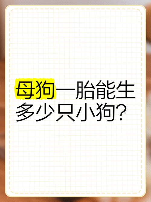 狗多大可以交配