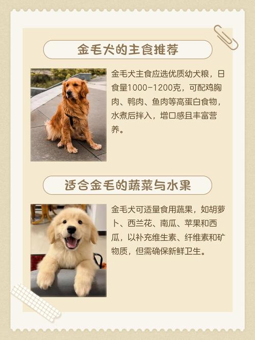 狗狗能吃紫菜吗