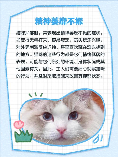 猫抑郁症的表现和治疗