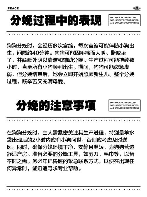 狗狗分娩当天会有什么表现?