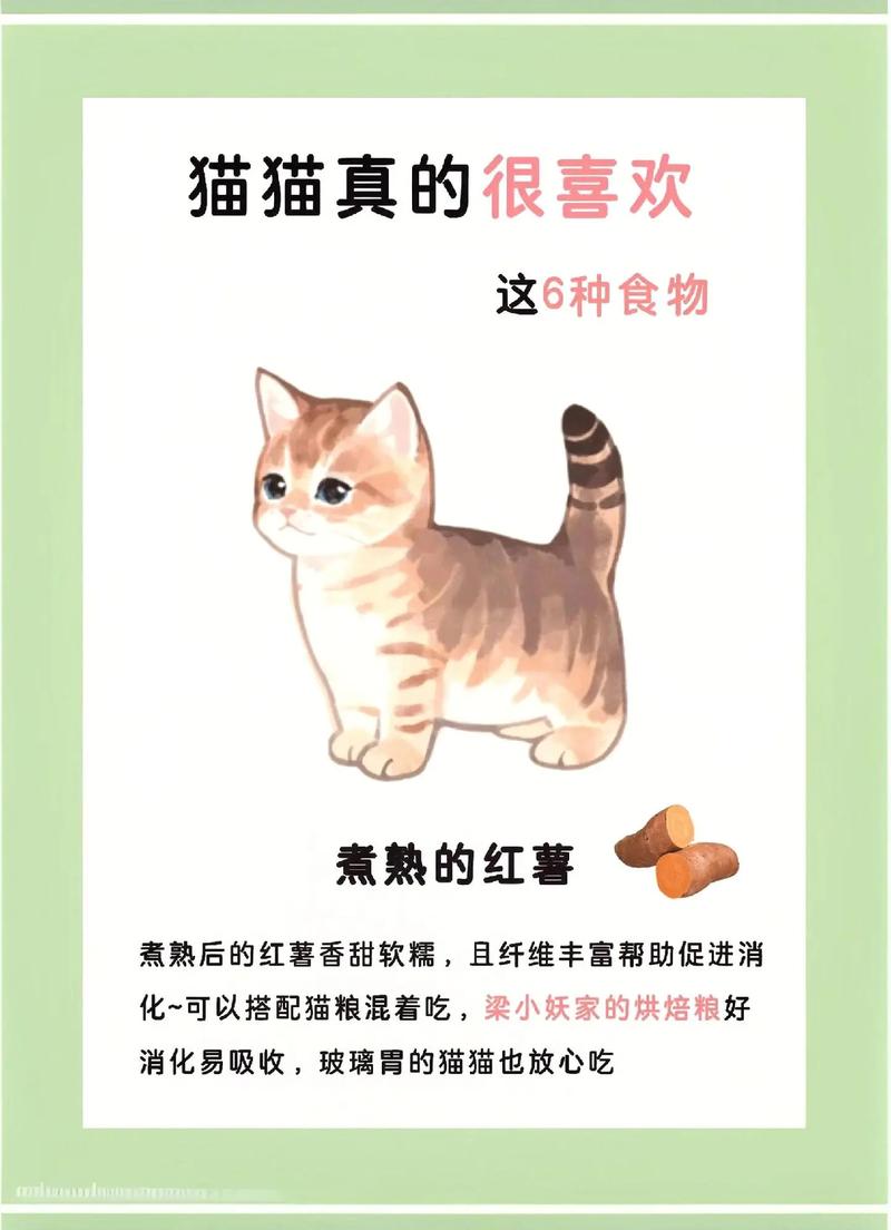 猫咪喜欢吃什么