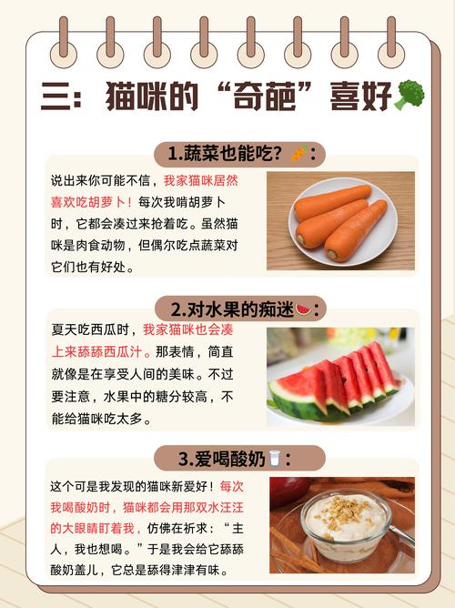 猫猫喜欢吃什么?