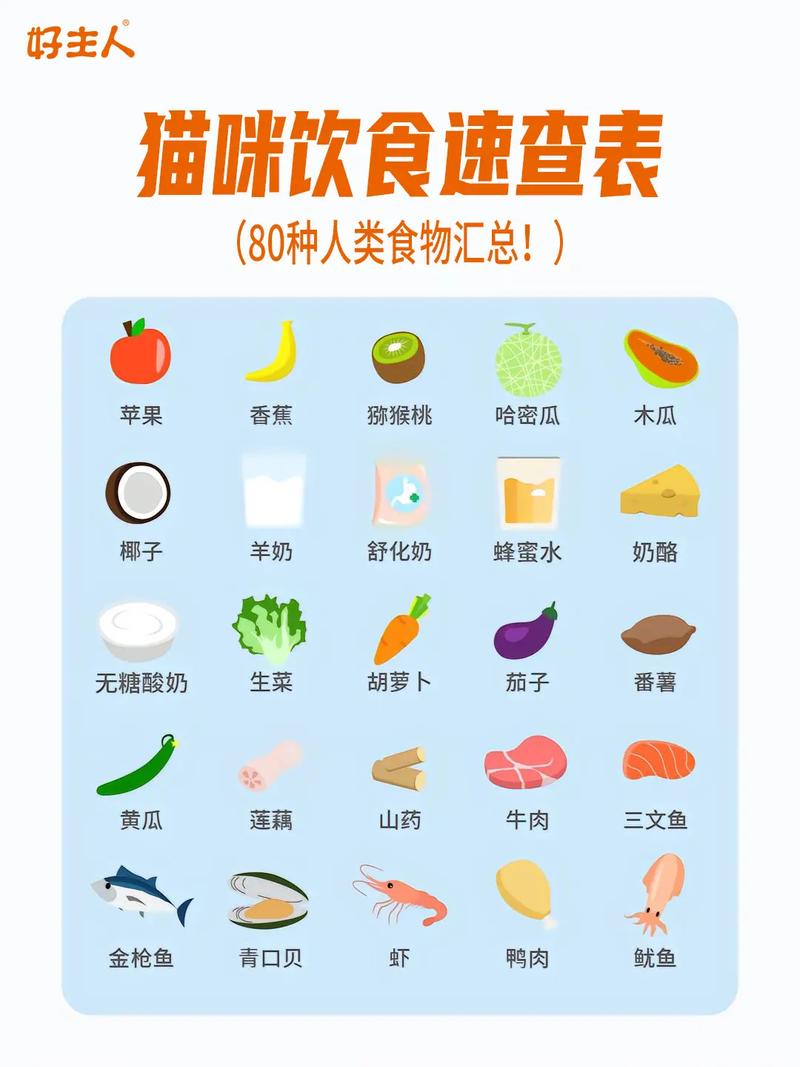 宠物猫吃什么食物除了猫粮?