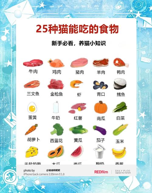 猫最喜欢吃什么