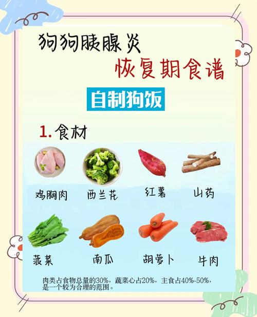 狗狗能吃沙拉酱吗