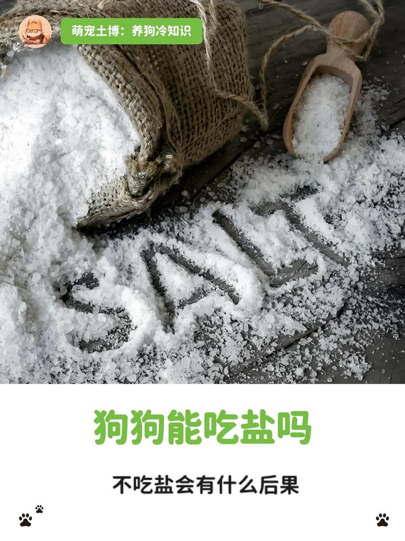 狗狗可以吃寿司吗