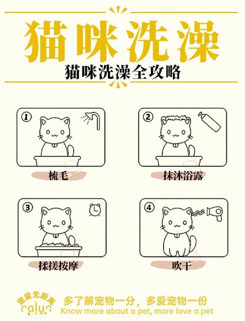 家里怎么给猫咪洗澡