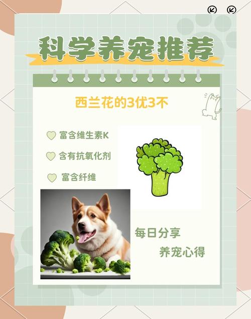 狗狗不能吃西兰花