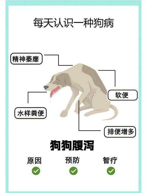 狗呕吐拉肚子喝水吗