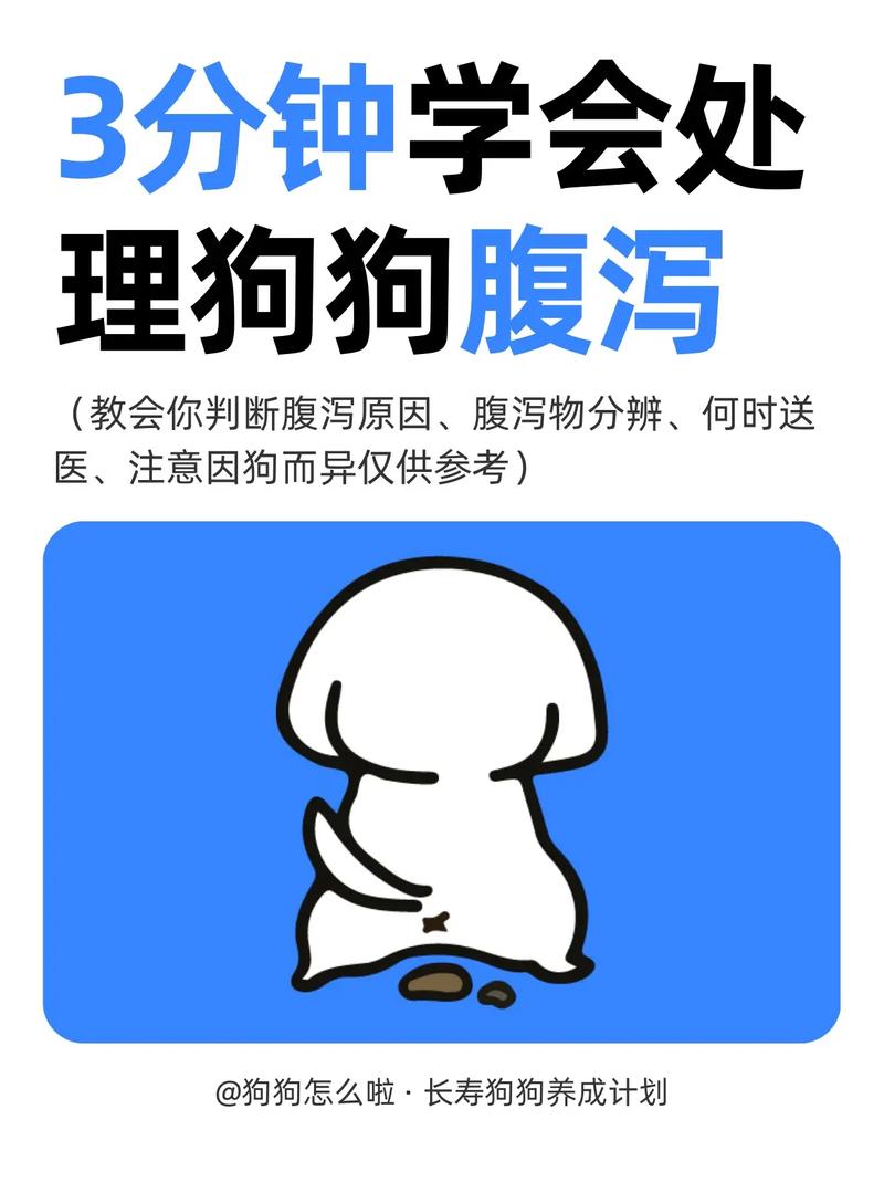 狗狗拉肚子大量喝水