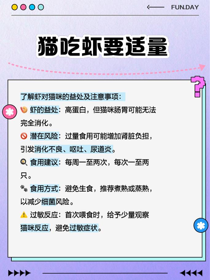 猫咪吃基围虾的好处?