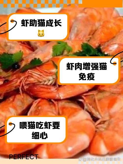 猫可以吃活的基围虾吗?